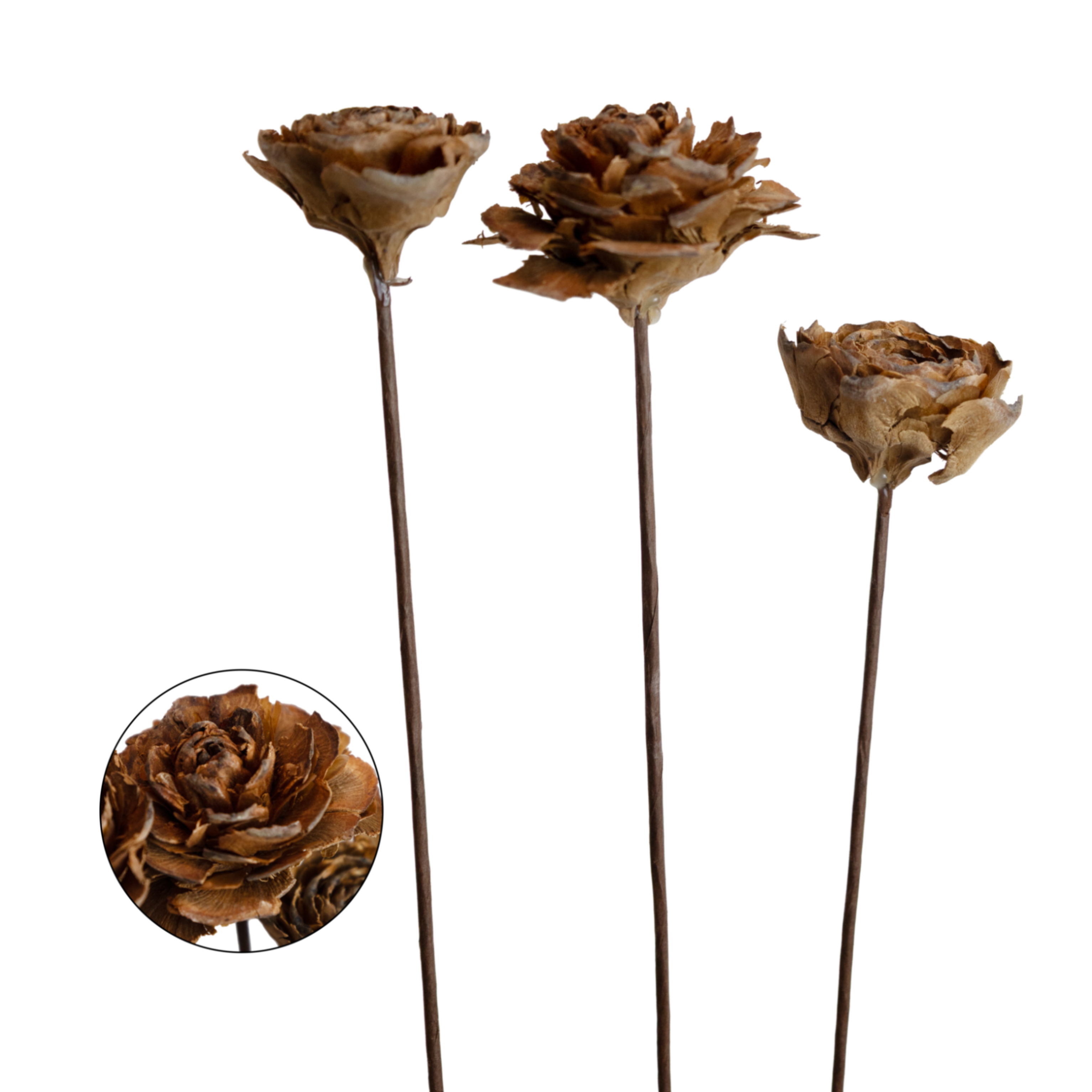 Preserved Carnation, 3 pcs